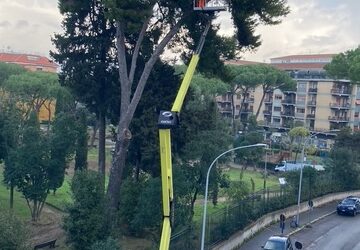 Villa riaperta dopo i lavori di potatura per alberi a rischio